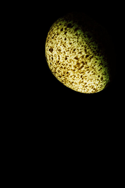 Habitable. Courtesy of Centro Municipal de Arte Hélio Oiticica