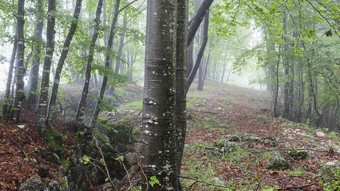 Federico Donato, Cento #5, 2014, fotografia digitale su carta cotone, 42 x 59,4 cm