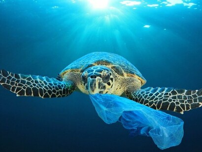 8 million tons of plastic waste wind up in the ocean annually