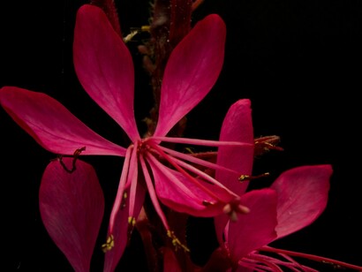 L’essere diversi è la meraviglia di ogni persona 