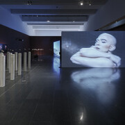 Carlos Motta, Pleas of resistance, exhibition view. Courtesy of Museu d'Art Contemporani de Barcelona