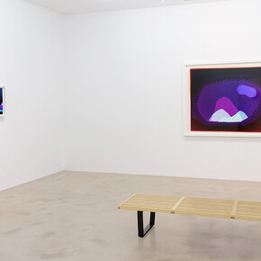 Liz Nielsen. Force Fields, Exhibition view. Courtesy of NextLevel Galerie