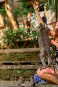 The monkey and the female human enjoying a peaceful and happy life in society 