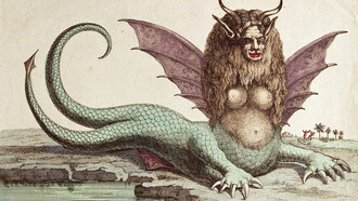 L'Arpia peruviana: un'arpia a due code