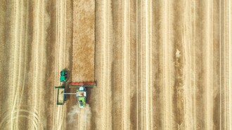 Cosechadora en un campo de trigo en Reino Unido