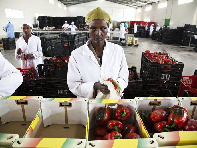 Alfredo Bini, Land Grabbing or Land to Investors?