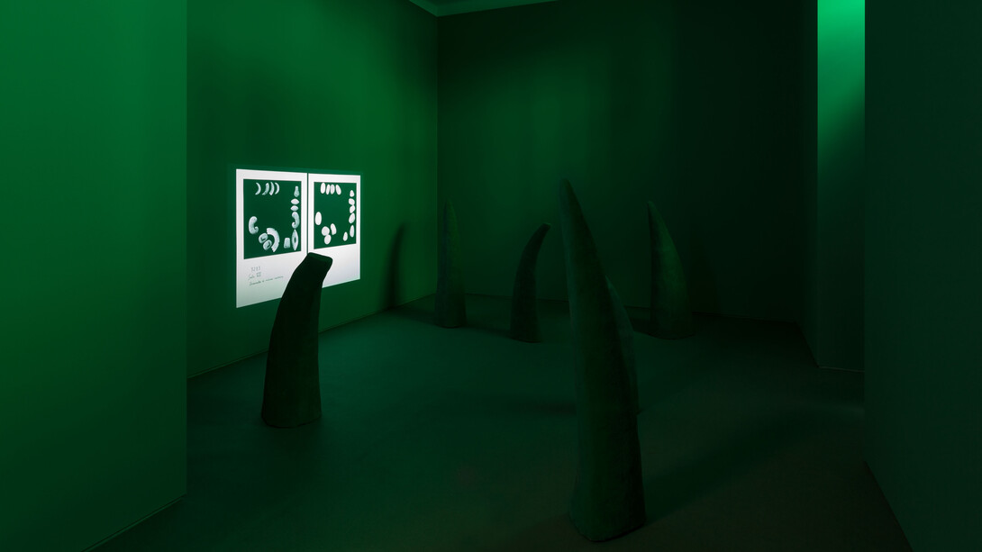 Courtesy / Cortesia: The artists (Mariana Caló & Francisco Queimadela) and MONITOR Rome / Lisbon. Photo credit: Bruno Lopes