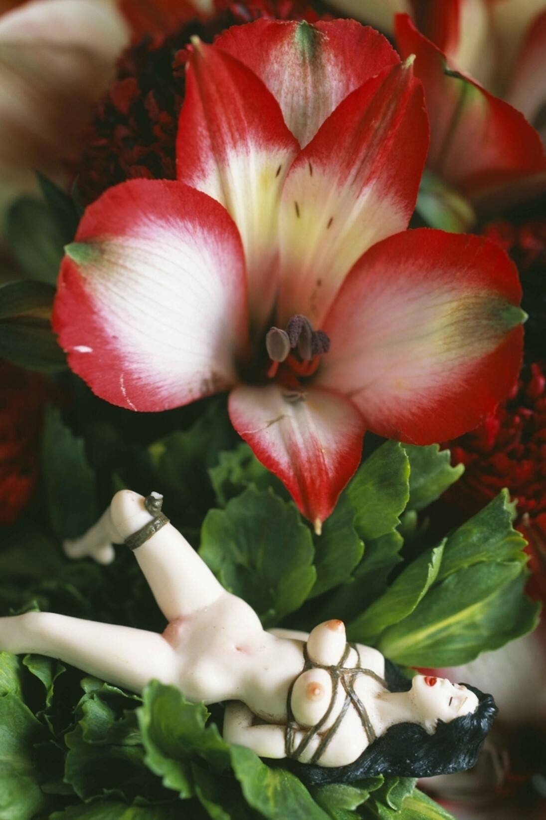 Nobuyoshi Araki, Amore. Courtesy of Galleria Carla Sozzani