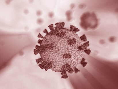 Il sequenziamento del nuovo virus fu terminato in tempi molto rapidi