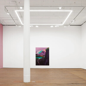 Alex Dordoy, The flowers and the hours, exhibition view. Courtesy of GRIMM