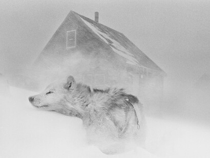 Ragnar Axelsson, Groenlandia ® Ragnar Axelsson. Courtesy of Casa dei Tre Oci