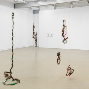 Lúcia Prancha and Rudi Brito, On top of the knee, exhibition view. Courtesy of Galeria Filomena Soares