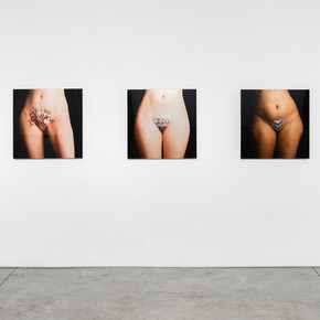 The Female Lens. Courtesy of Richard Taittinger Gallery