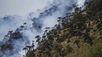 Melipeuco, incendio forestal