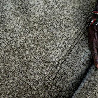 Justin Mott. Courtesy Anastasia Photo