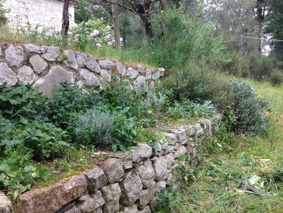 Orto aromatico casalingo
