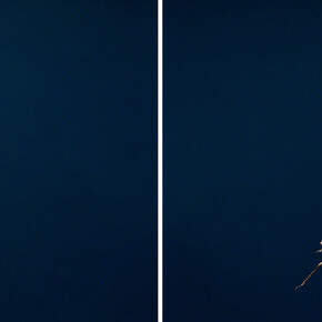 Tara Sellios: Sinuous. Courtesy of C. Grimaldis Projects