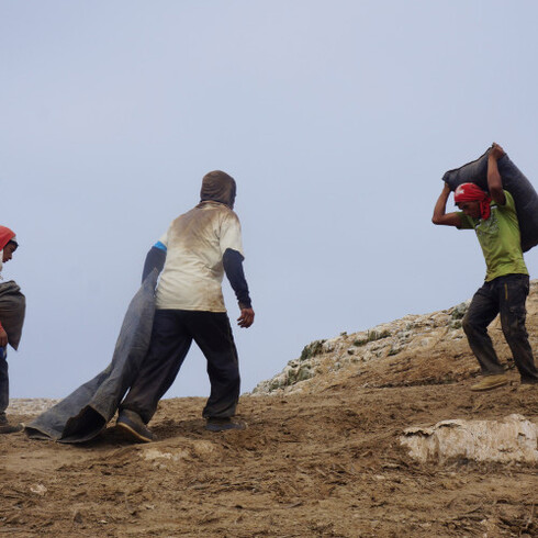 Dinh Q. Lê. The Colony. Courtesy of Museum Boijmans Van Beuningen 