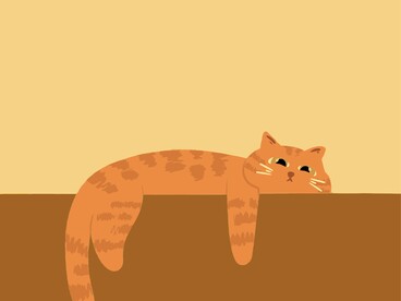 I gatti al sole, i ragni negli angoli: una casa non appartiene mai a uno solo