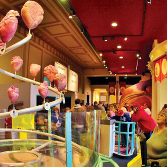 The Giant Heart. Courtesy of The Franklin Institute