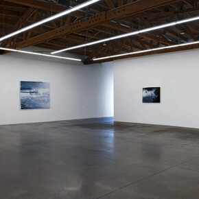 Heide Fasnacht, Nature once removed, exhibition view. Courtesy of Shoshana Wayne Gallery 