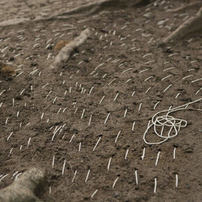 Pore. Courtesy of New Brunswick Museum