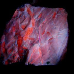 Minerals of New York. Courtesy of New York State Museum
