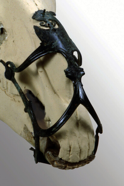 Museruola per cavallo, epoca ellenistica (IV secolo a.C). Bronzo. Este, Museo Nazionale