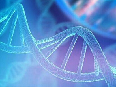 La variabilidad en una especie es posible gracias a la recombinación genética