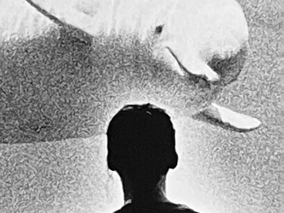 L’enorme cetaceo bianco lo osservava