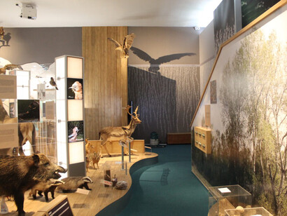 Our river and its land, exhibition view. Courtesy of Móra Ferenc Museum