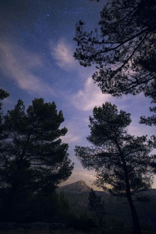 Boomoon. Courtesy of Galerie Lelong