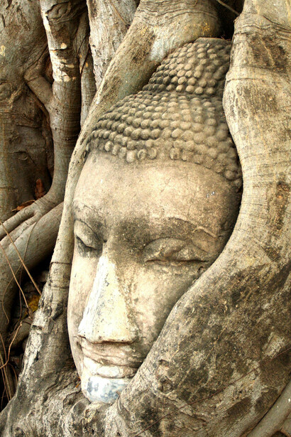 Entenda como a prakrti define nossa constituição única e como ela é afetada pelos desequilíbrios