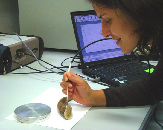 The Past Under a Microscope. Courtesy of National Museum of Slovenia