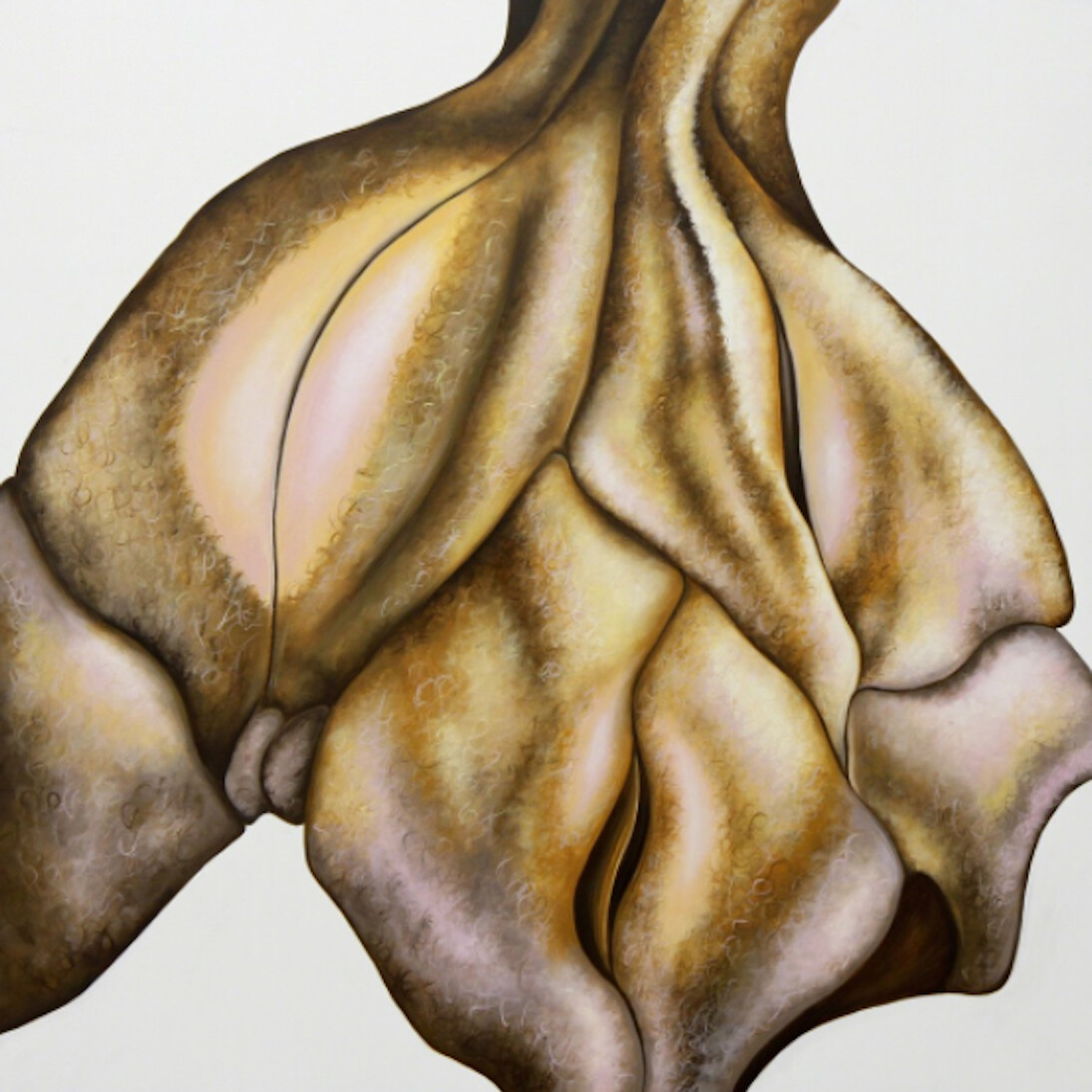 Afterglow. Courtesy of The Front Room