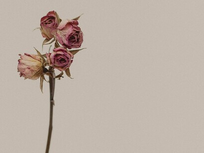 A finales del siglo pasado, México se convirtió en el paradigma de la violencia extrema hacia las mujeres