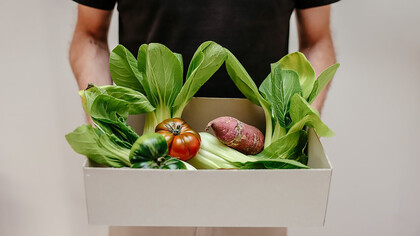 A person proudly holding a crate of vibrant vegetables symbolizes the intersection of health, veganism, and sustainability, encapsulating a commitment to nourishing choices for both individual well-being and the planet