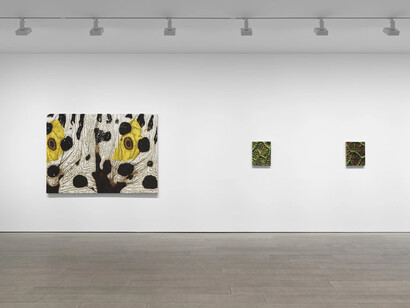 Douglas Melini, Under your skin and over the moon, exhibition view. Courtesy of Miles McEnery Gallery