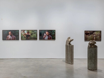 Various artists, Mirroring nature, exhibition view. Courtesy of Nara Roesler Gallery