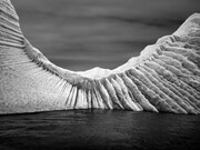 Fragile Waters. Courtesy of San Jose Museum of Art