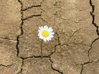 Las palabras tienen un poder tremendo; algunas más que otras