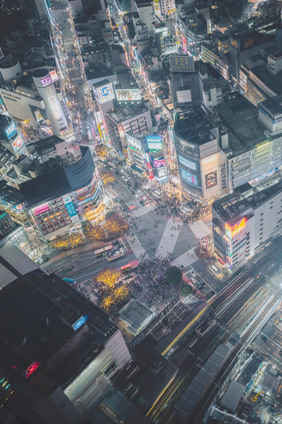 L’incrocio di Shibuya (Tokyo, Giappone). Il quartiere di Shibuya è famoso soprattutto per questo incrocio