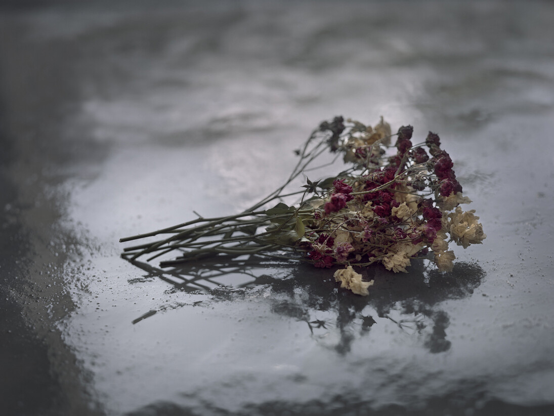 Castro Prieto, Rosas secas, Bodas de sangre, Pigmented inks on 100% cotton paper, 22 x 27.6"