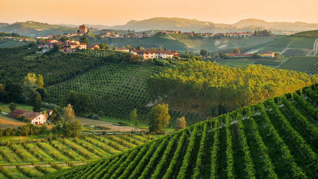 Paesaggio delle Langhe
