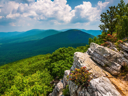 Georgia Washington National Forest, Virginia, USA