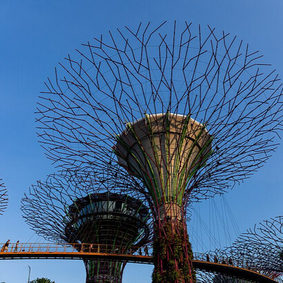 Son jardines verticales que cumplen múltiples funciones, como plantar, dar sombra y actuar como motores ambientales para los jardines. Jardines junto a la bahía. Singapur