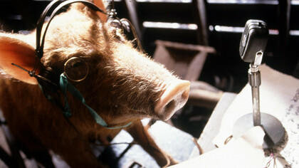 Cena do filme de George Orwell, O Triunfo dos Porcos