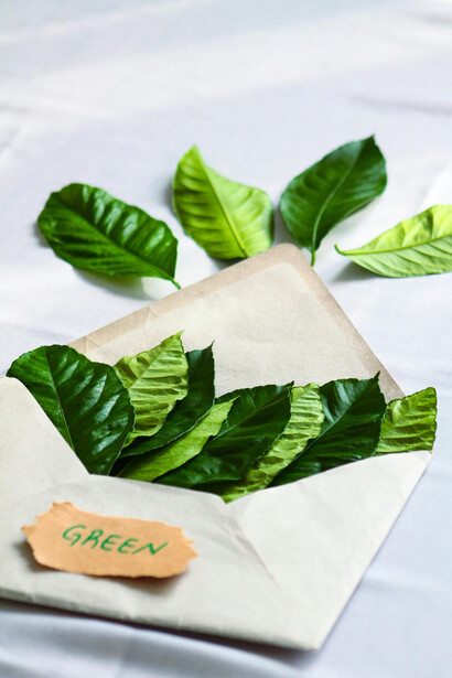 O papel das tecnologias digitais na crise ambiental e as alternativas para um consumo mais consciente