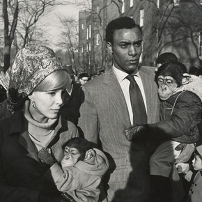 Garry Winogrand, Central Park Zoo, New York [Zoo de Central Park, New York], 1967, Tirage gélatino-argentique ; Collection of Randi and Bob Fisher, © The Estate of Garry Winogrand, courtesy Fraenkel Gallery, San Francisco, Photo: Don Ross