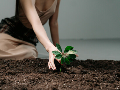 A person gently planting a young seedling into the soil, giving life to the earth